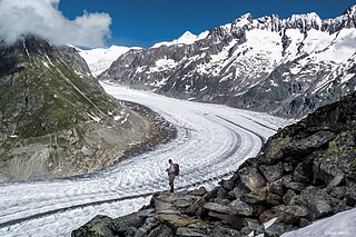 <span class="mw-page-title-main">Aletsch Glacier</span> Largest glacier in the Alps