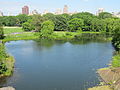 06. The Lake, Central Park