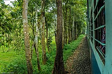 Nilambur-Shoranur line DR0050DSC 7079.jpg