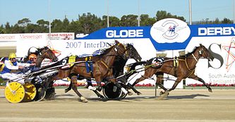 Harness Racing at the 2007 Inter Dominion Championships held at Globe Derby Park in South Australia in January 2007 Harness Racing (Pacers).jpg