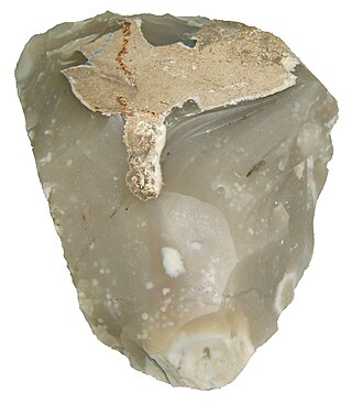 <span class="mw-page-title-main">Flint</span> Cryptocrystalline form of the mineral quartz