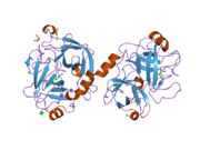 PDB 2bdg EBI.png