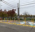 Black Lives Matter street mural, Cal Anderson Park