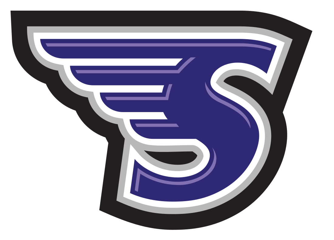 Stonehill Skyhawks