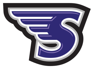 <span class="mw-page-title-main">Stonehill Skyhawks</span> Intercollegiate athletics teams of Stonehill College