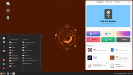 Ubuntu Cinnamon 24.10