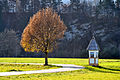 English: Tree and wayside shrine Deutsch: Baum und Bildstock "Safron Kreuz" (slow.: Žofranov križ)