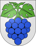 Blazono de Wynau