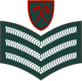 04.Gambian Army-SSG.svg