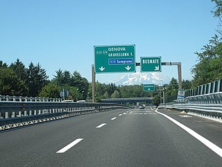 <span class="mw-page-title-main">Transport in Italy</span> Overview of the transport in Italy