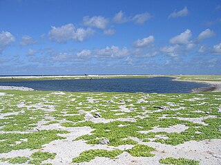 <span class="mw-page-title-main">Birnie Island</span> Uninhabited island of central Kiribati