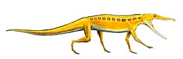 A Chanaresuchus rekonstrukciója