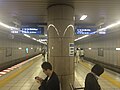 Hibiya platforms, 2016