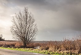 Langweerderwielen (Langwarder Wielen). (d.j.b.) 25