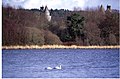 Loch of Skene