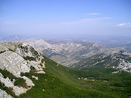 FK Lovćen Cetinje