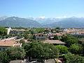 Vista con le Alpi Apuane sullo sfondo