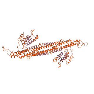 <span class="mw-page-title-main">SNX8</span> Protein