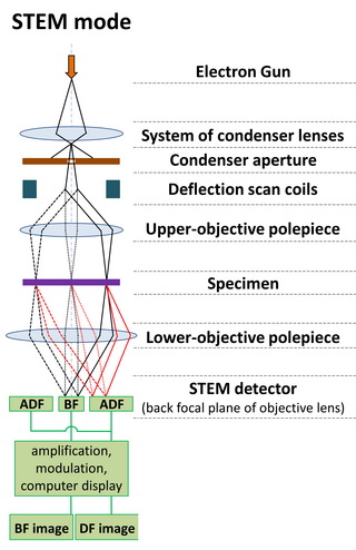 <span class="mw-page-title-main">Scanning transmission electron microscopy</span> Scanning microscopy using thin samples and transmitted electrons