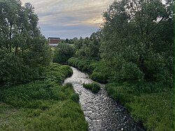 Река Синетулица в районе деревни Крюково городского округа Тула