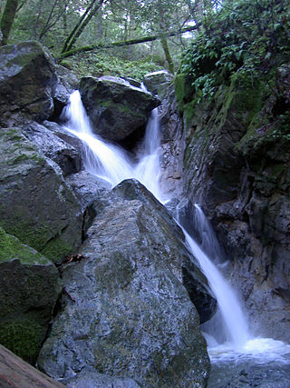 <span class="mw-page-title-main">Sugarloaf Ridge State Park</span> State park in California, United States