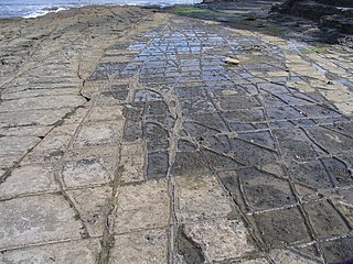 <span class="mw-page-title-main">Tessellated pavement</span> Relatively flat rock surface that is subdivided into more or less regular shapes by fractures