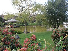 Parque Yamaguchi, jardín japonés.