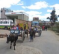 Image 16In many places oxcarts are an important medium of transport, like in Ambatolampy (from Madagascar)