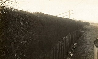 <span class="mw-page-title-main">Becher's Brook</span> Fence jumped during the Grand National