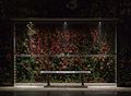 Bus shelter in Riisskov - night photo in rain