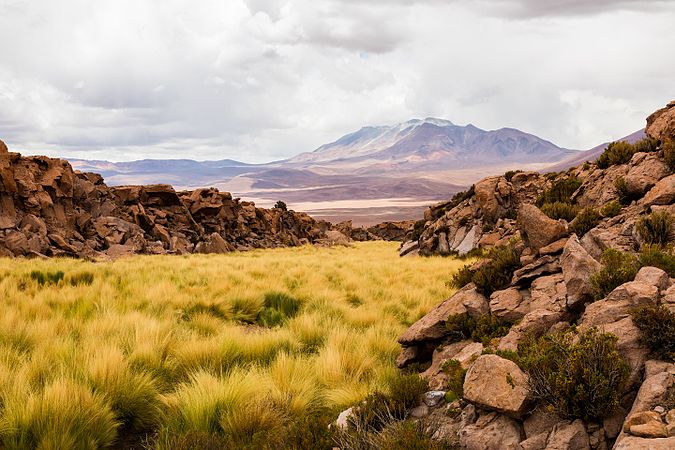 圖為從奧坎基爾查峰望向奧爾卡火山的地形景觀。背景中的奧爾卡火山是一座海拔5,167米高的複式火山，位於智利北部安托法加斯塔大區的阿爾托洛亞國家保護區內，在玻利維亞邊境的西邊。