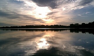 <span class="mw-page-title-main">Channel Lake, Illinois</span> Census-designated place in Illinois, United States