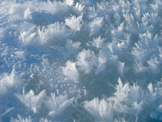 <span class="mw-page-title-main">Frost flower (sea ice)</span>