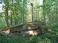 Bodendenkmal Slorburg