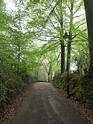 Looking northwards along Sandrock - geograph.org.uk - 6453360.jpg