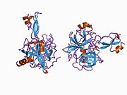 PDB 1ca0 EBI.jpg