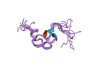 <span class="mw-page-title-main">Low-density lipoprotein receptor gene family</span>