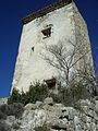 Taubenturm