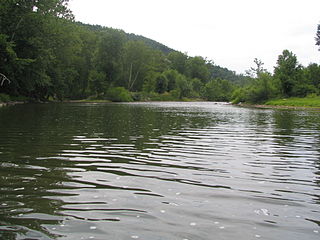 Juniata River