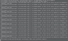 Скриншот программы Tcpdump