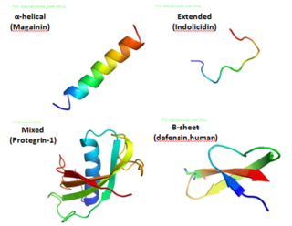 <span class="mw-page-title-main">Antimicrobial peptides</span> Class of peptides that have antimicrobial activity