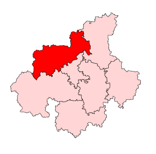 <span class="mw-page-title-main">Belur Assembly constituency</span> Legislative Assembly constituency in Karnataka State, India