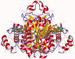 <span class="mw-page-title-main">Adenosine kinase</span> Enzyme