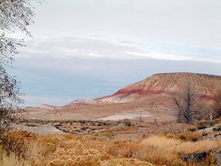 <span class="mw-page-title-main">Cloverly Formation</span> Geological formation in the United States