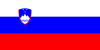 Flag of the Slovene nation