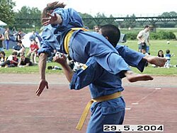 Vovinam - vietnámi küzdősport