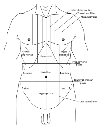 <span class="mw-page-title-main">Epigastrium</span> Upper central region of the abdomen