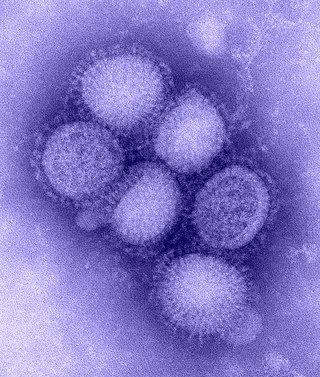 <span class="mw-page-title-main">Influenza A virus subtype H1N1</span> Subtype of Influenza A virus