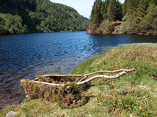 <span class="mw-page-title-main">Hosanger</span> Former municipality in Hordaland, Norway