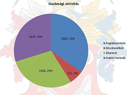 Gazdasági aktivitás (2011)